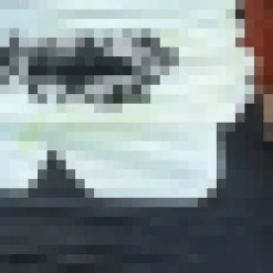 Black Floral Printed Strapless Ruched Midi Dress