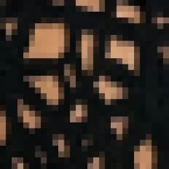 Black Open Stitch Crochet Tassel Crop Top