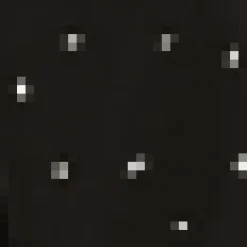 Black Polka Dot Culotte Flared Trousers