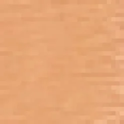 Camel Long Sleeve Button Front Skater Shirt Dress