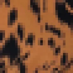 Camel Print Long Sleeve Skater Dress