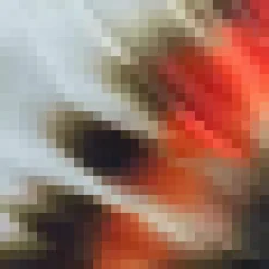 Cream And Orange Printed Mesh Long Sleeve Bodysuit