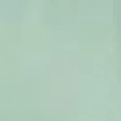 Duck Egg Ruched High Neck Midi Dress