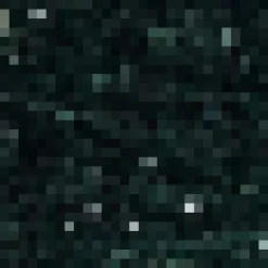 Green Velvet And Sequin Racer Neck Midi Dress