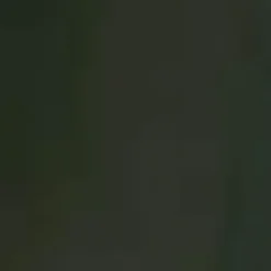 Olive Long Sleeve Gathered Detail Button Front Dress