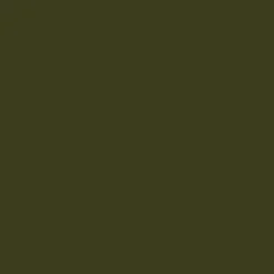 Olive Satin Belted 3/4 Sleeve Gold Buttons Shirt Midi Dress