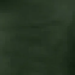 Olive Satin Button Front Collared Tie Waist Jumpsuit