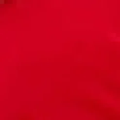 Red Belted Pleated Skirt Midi Dress