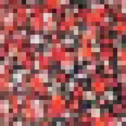 Red Ditsy Floral Grouped Sleeve Shirt