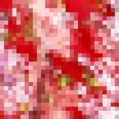 Red Floral Front Tie Wrap Top