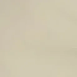 Stone Strap Detail Cargo Pants