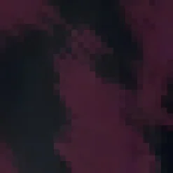 Wine And Black Ruched Shoulder Batwing Top