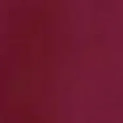 Wine Long Sleeve Gold Button Front Shirt