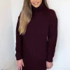 Wine Roll Neck Knit Jumper Dress
